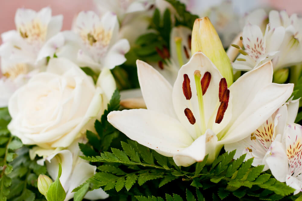 Lilies for Women's Day bouquets - Bloomingdays flower shop