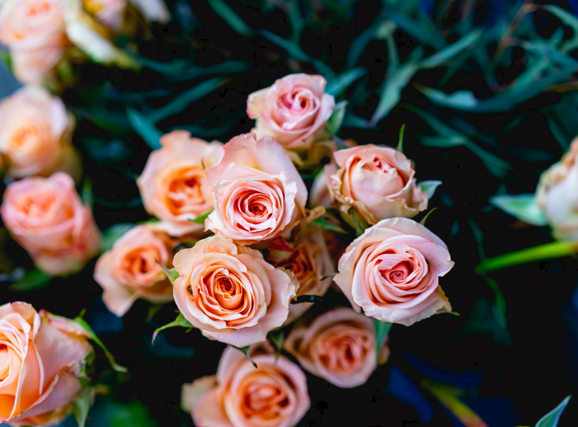 Wedding Anniversary Flowers