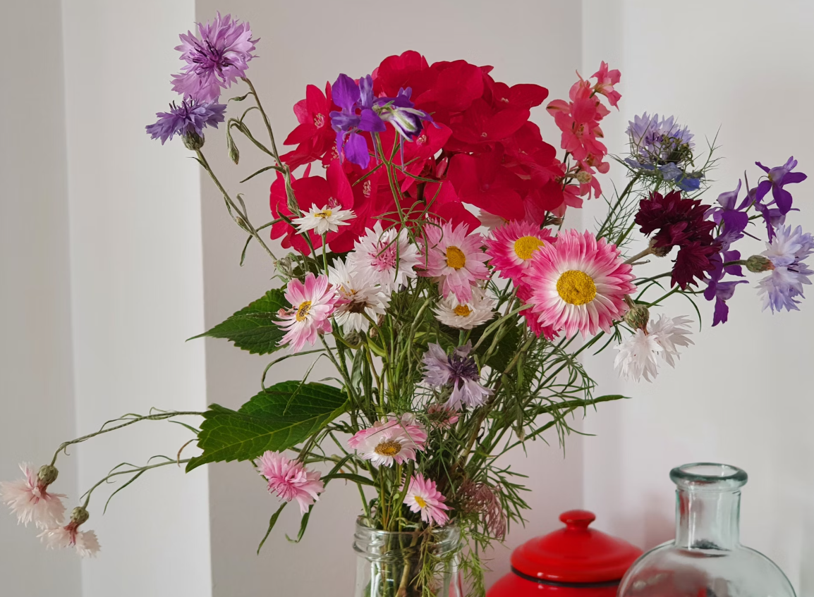 Cut floral arrangements