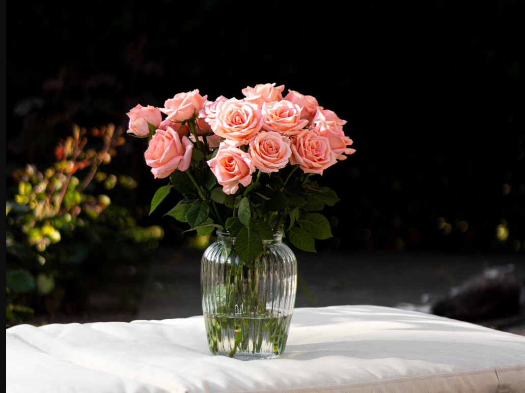 pink roses for Mother's Day