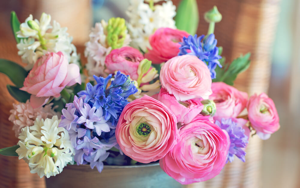 Ranunculus