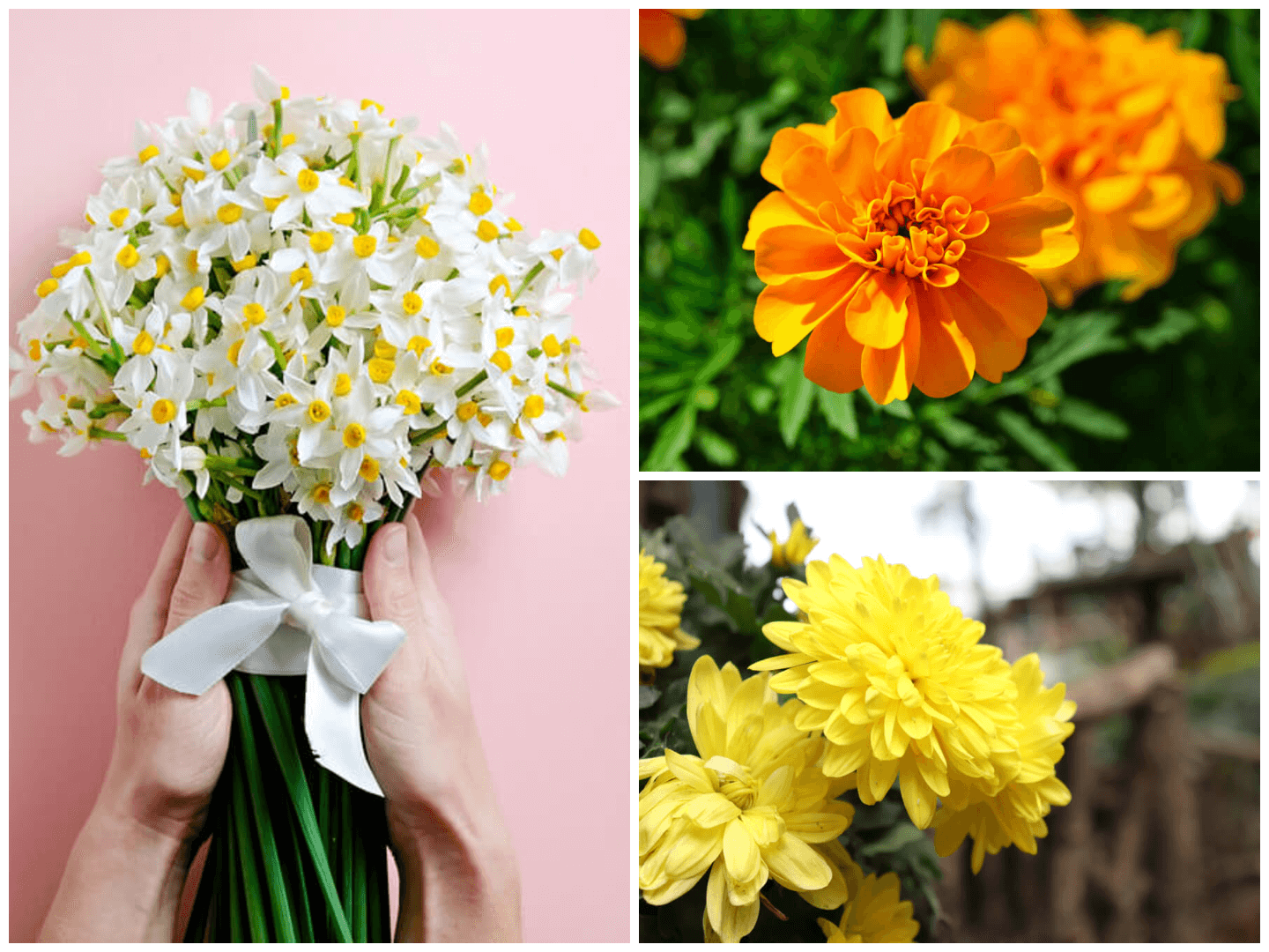 October to December birth flower meaning