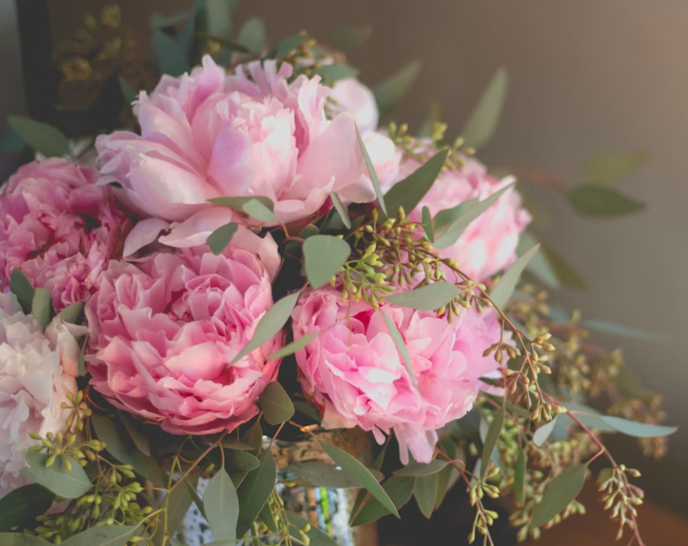 June flowers Peonies