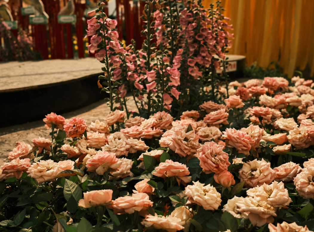 summer flower bouquet