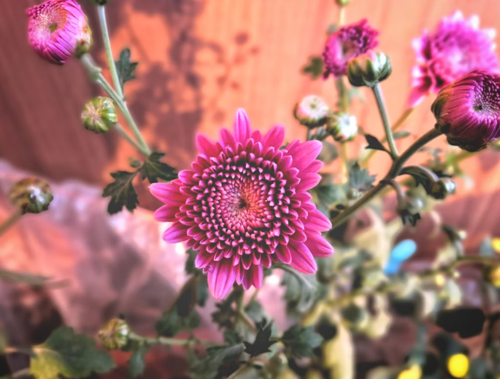 Garden-fresh summer flowers