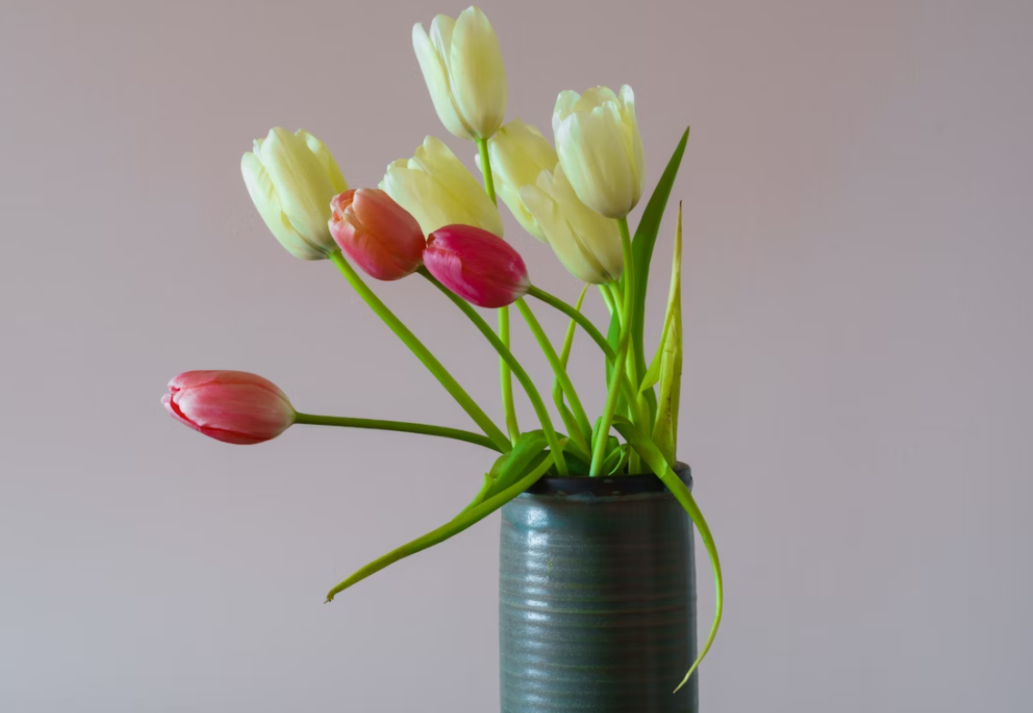 Best Corporate Flowers
