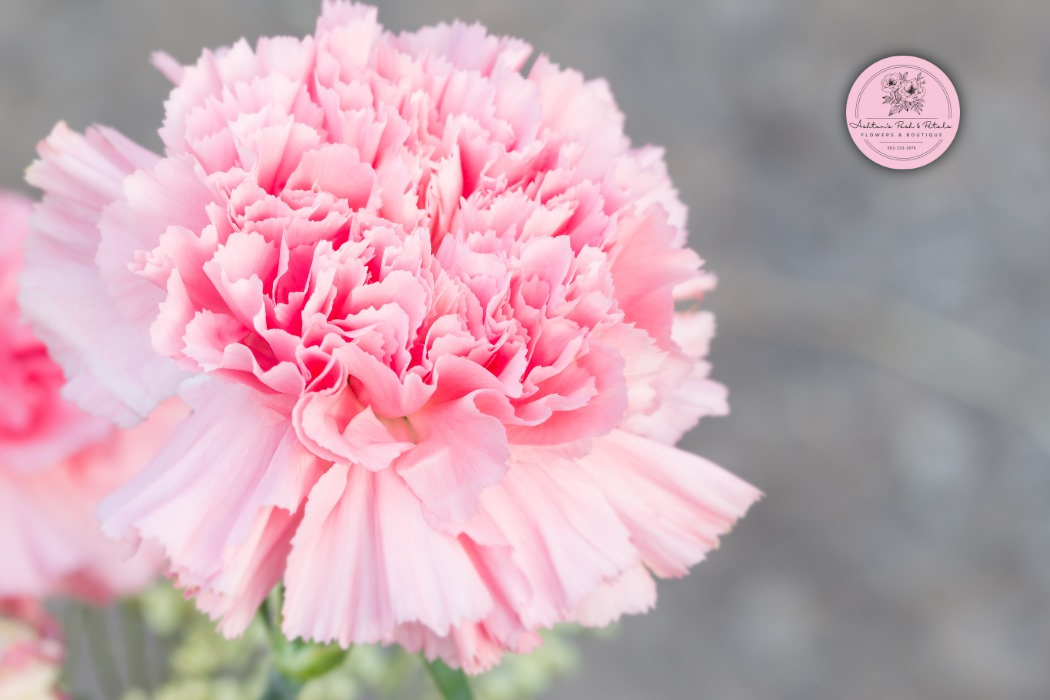 January birth flower