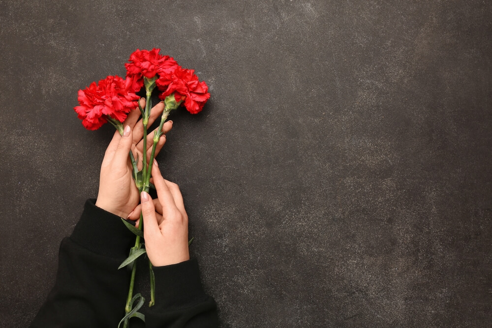 Carnations flowers