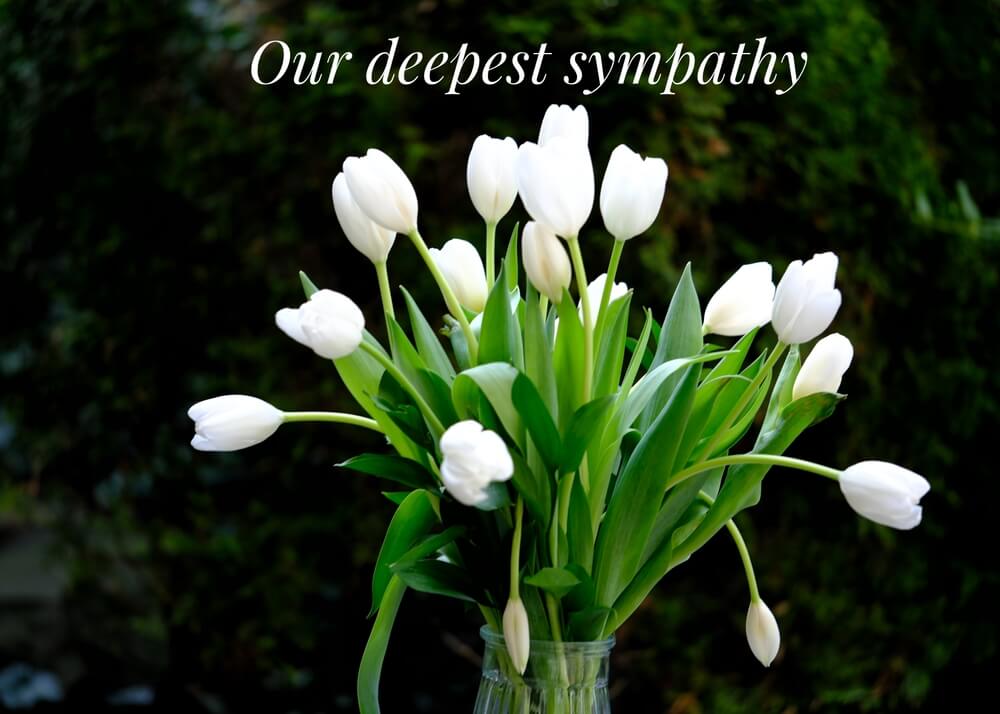 white tulips sympathy flower
