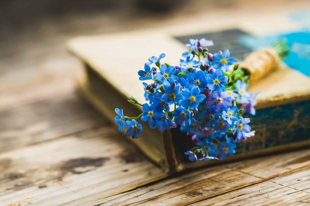 Forget-Me-Not flowers - affordable flowers for visitor in Naples