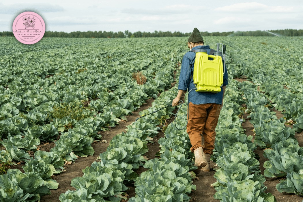 Protecting Sunflowers from Pests