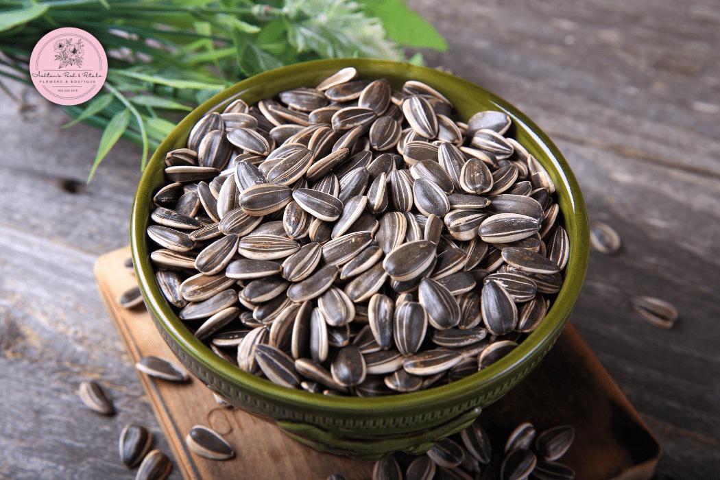 Harvesting Sunflower Seeds