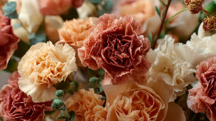 carnations - floral arrangement waterville