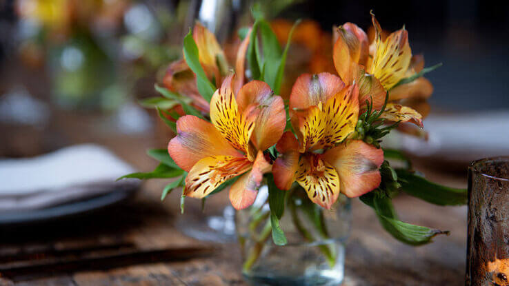 Alstroemeria festive floral designs