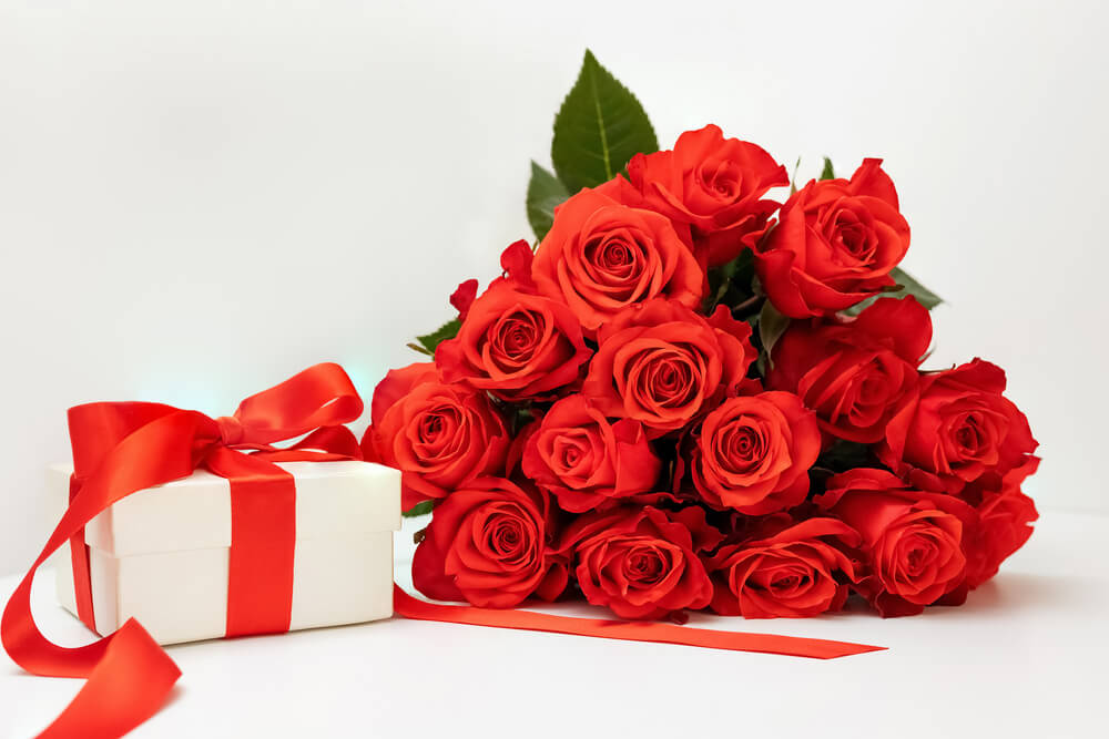 Red rose for Christmas - symbolize love, admiration, and respect