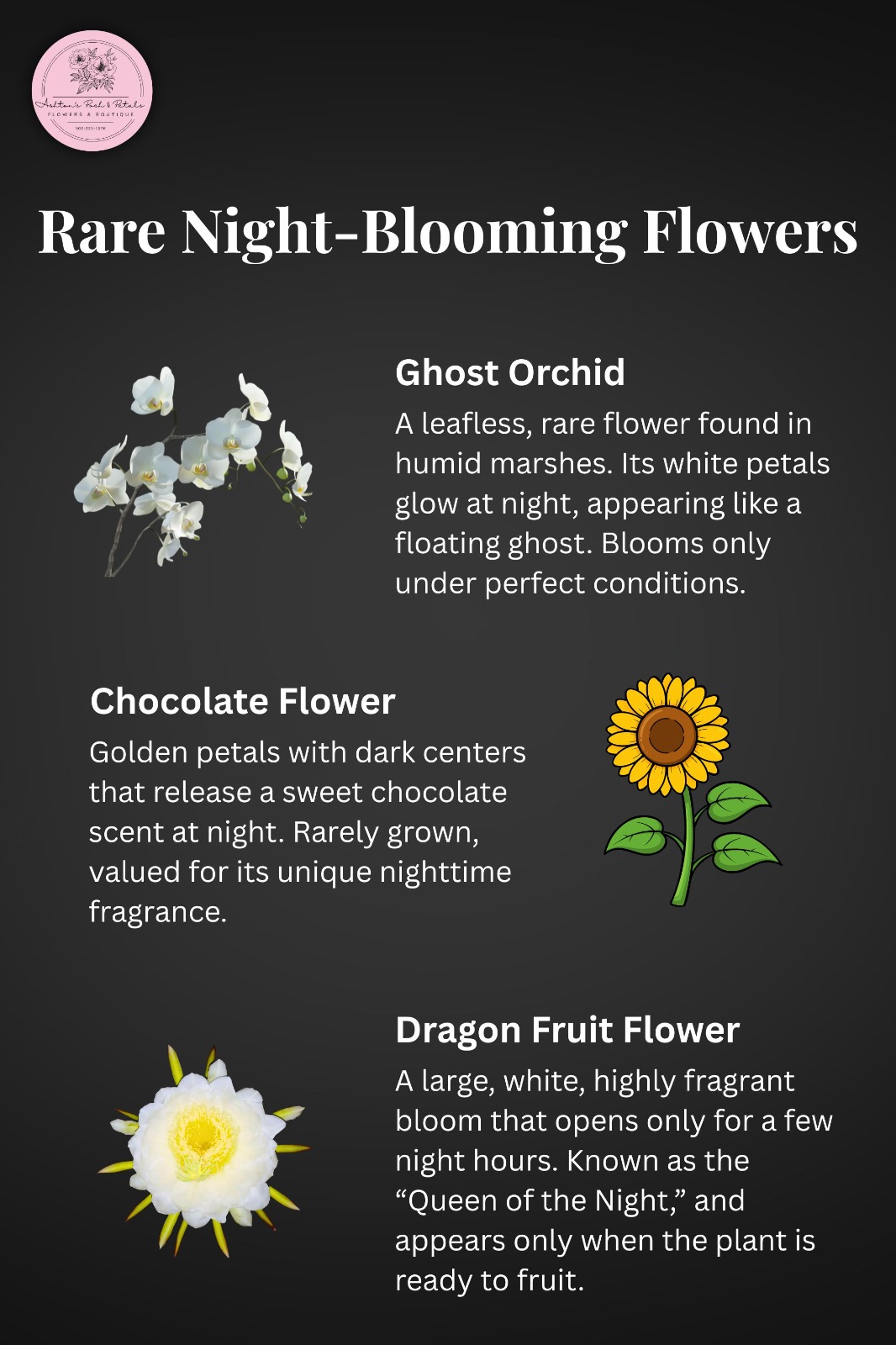 Rare Night-Blooming Flowers