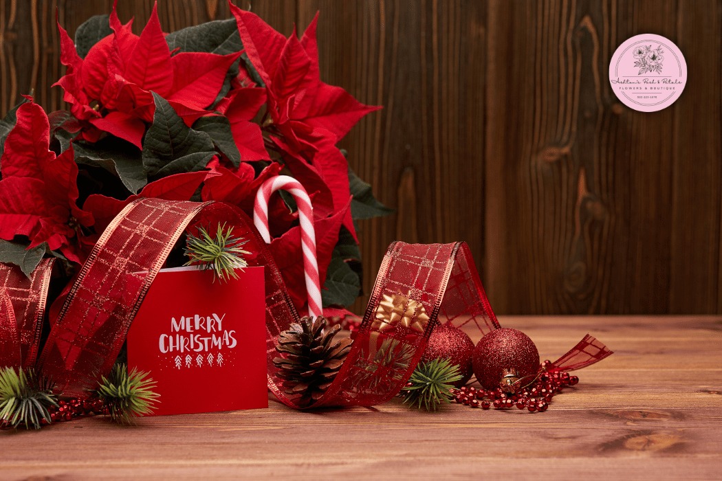 How to Choose the Right Flowers for Christmas